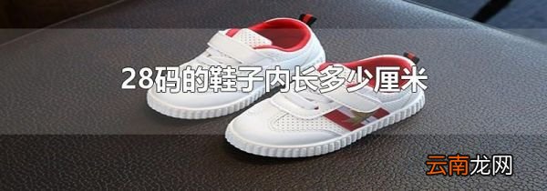 28码的鞋子内长多少厘米