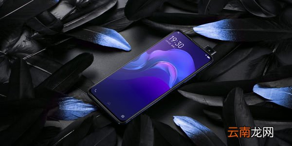 iqoo手机中打开放大功能的具体操作流程