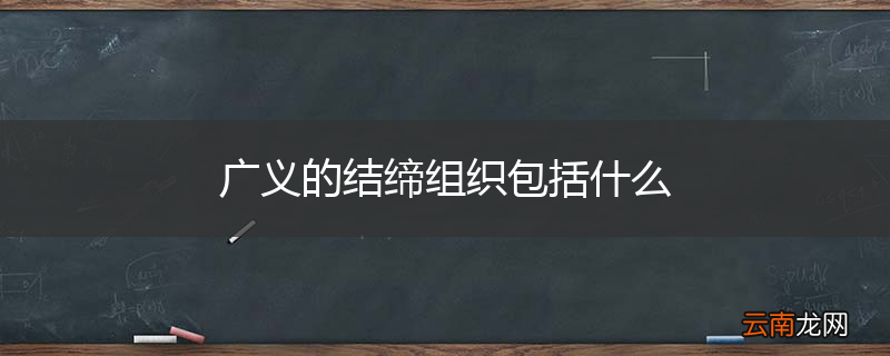 广义的结缔组织包括什么