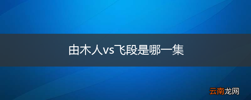 由木人vs飞段是哪一集