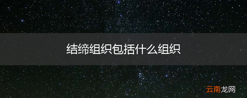 结缔组织包括什么组织