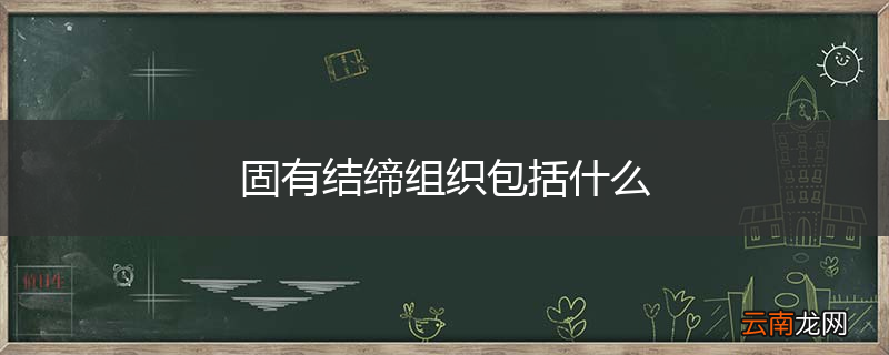 固有结缔组织包括什么