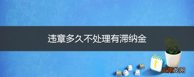 违章多久不处理有滞纳金
