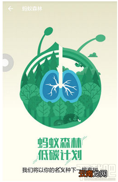 支付宝怎么关闭蚂蚁森林？