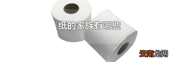 纸的家族有哪些