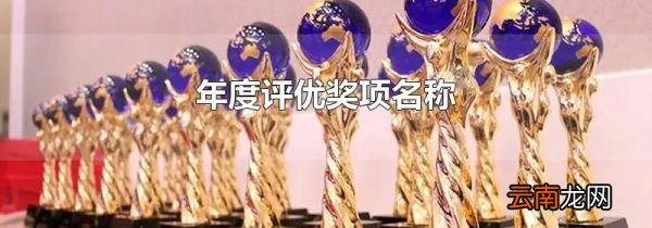 年度评优奖项名称