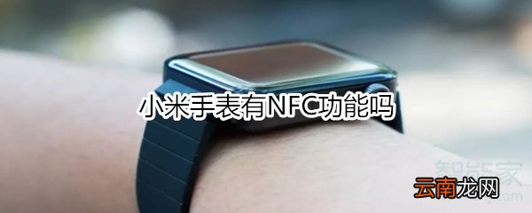 小米手表有NFC功能吗