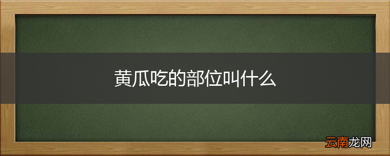 黄瓜吃的部位叫什么