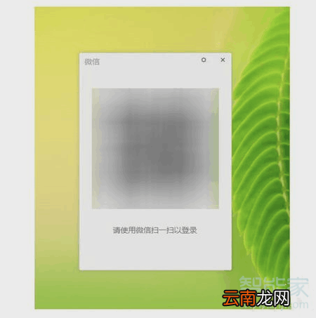 微信网页版登陆不了怎么回事啊