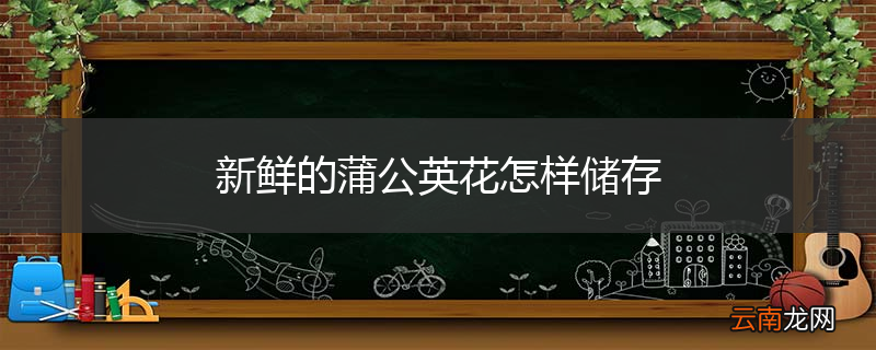 新鲜的蒲公英花怎样储存