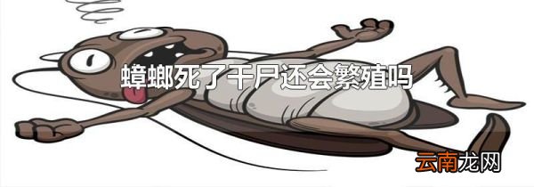 蟑螂死了干尸还会繁殖吗