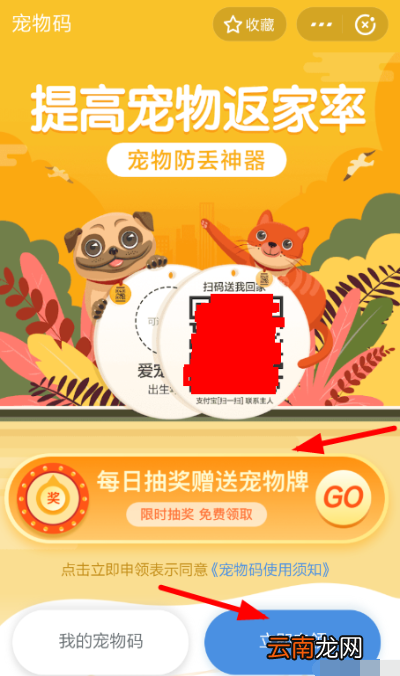 支付宝宠物码如何申请