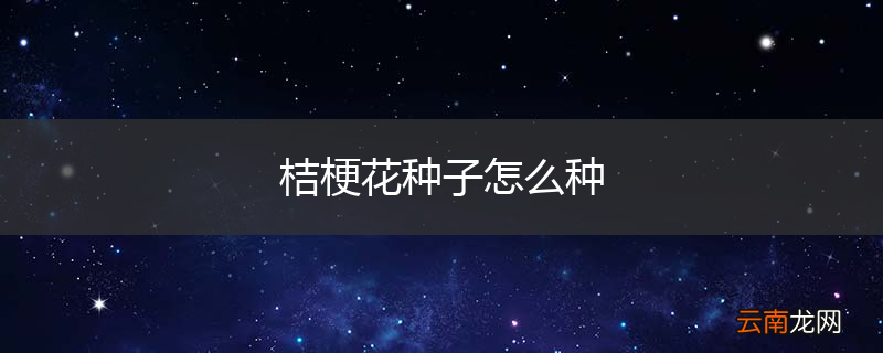 桔梗花种子怎么种