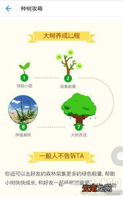 支付宝蚂蚁森林浇水办法？