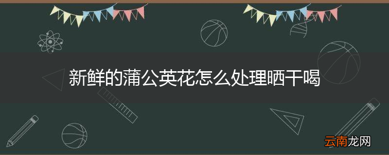 新鲜的蒲公英花怎么处理晒干喝