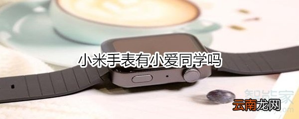 小米手表有小爱同学吗