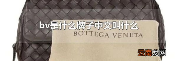 bv是什么牌子中文叫什么