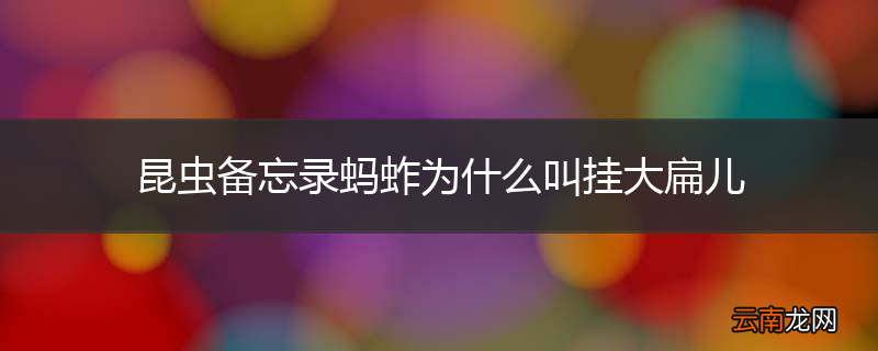 昆虫备忘录蚂蚱为什么叫挂大扁儿