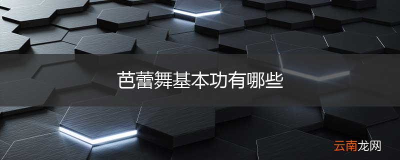 芭蕾舞基本功有哪些