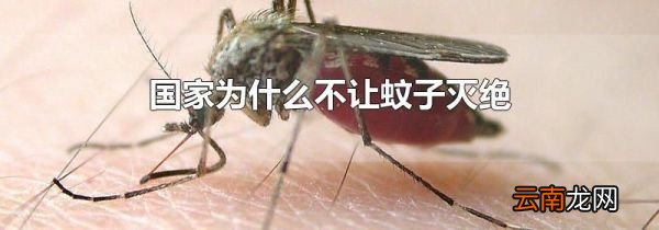 国家为什么不让蚊子灭绝