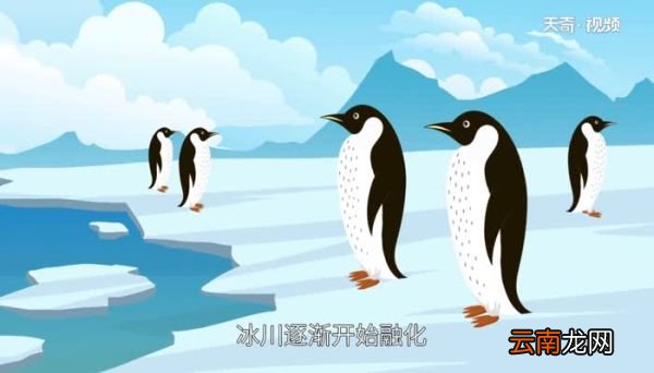 南极洲有人居住吗 南极洲为什么没有人住