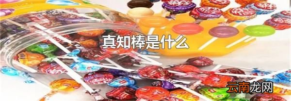 真知棒是什么