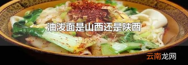 油泼面是山西还是陕西