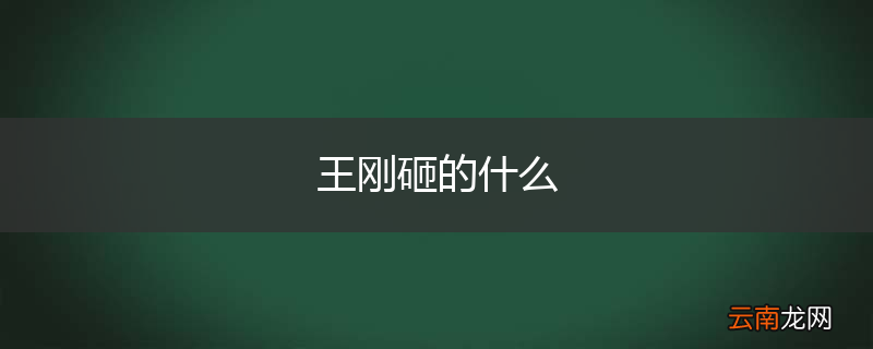 王刚砸的什么