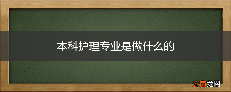本科护理专业是做什么的