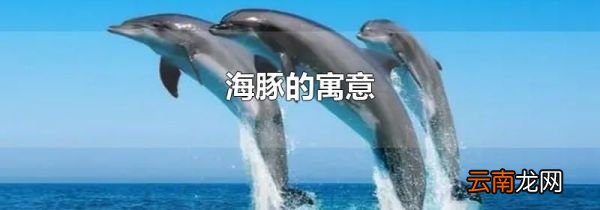 海豚的寓意