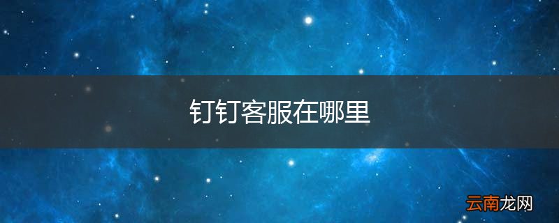 钉钉客服在哪里