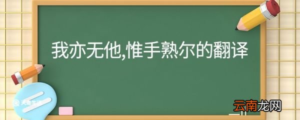 我亦无他惟手熟尔的意思翻译 我亦无他惟手熟尔的翻译