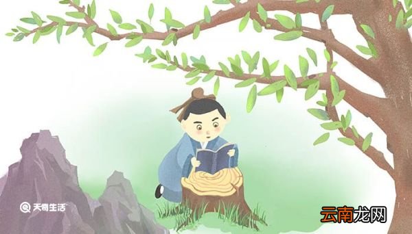 我亦无他惟手熟尔的意思翻译 我亦无他惟手熟尔的翻译
