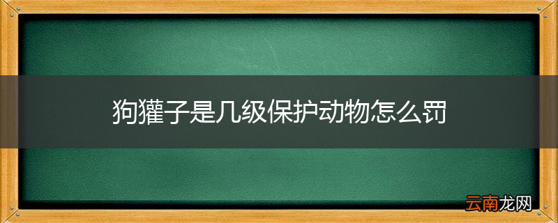 狗獾子是几级保护动物怎么罚