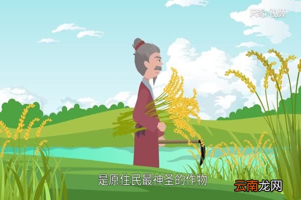 五谷杂粮有哪些 杂粮有什么特质
