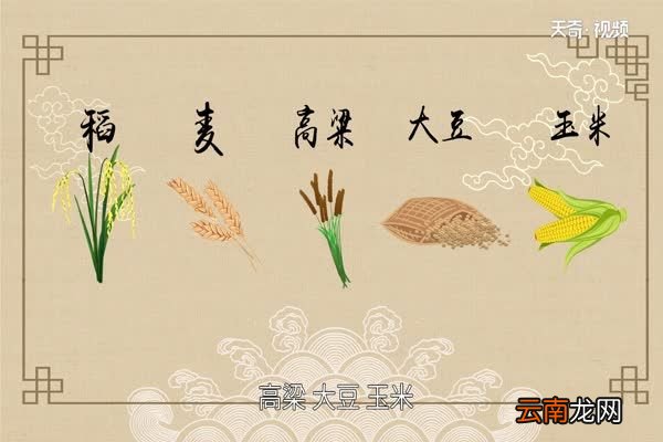五谷杂粮有哪些 杂粮有什么特质