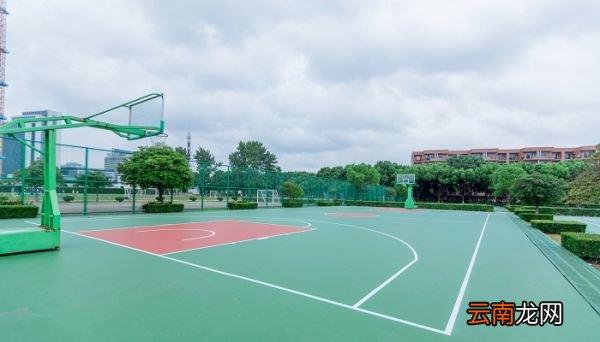 标准篮球场尺寸 篮球场标准尺寸是多少