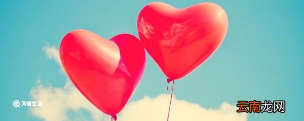 生日送什么花 什么花适合生日送