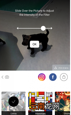 Prisma具体使用方法介绍