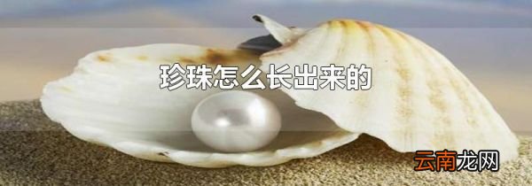 珍珠怎么长出来的