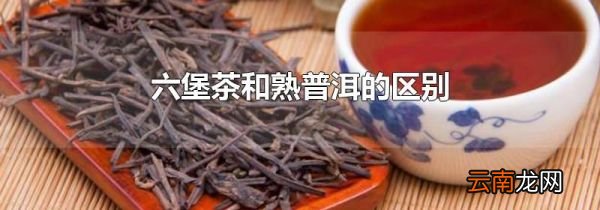 六堡茶和熟普洱的区别