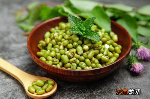 长虫的绿豆还能吃吗 绿豆长虫了还可以吃吗