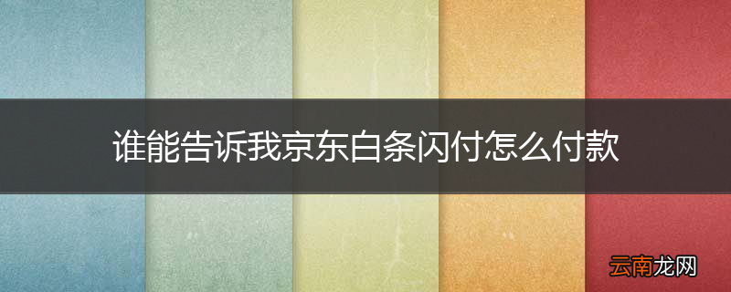 谁能告诉我京东白条闪付怎么付款