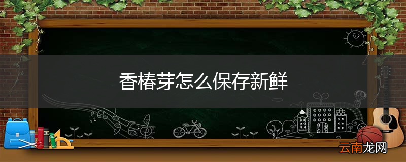 香椿芽怎么保存新鲜