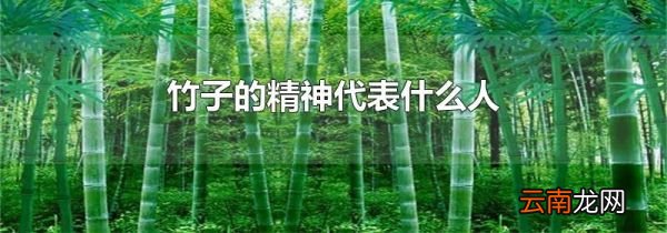 竹子的精神代表什么人