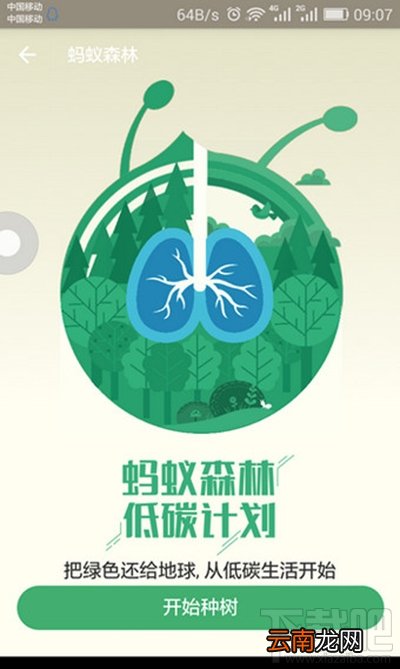支付宝的蚂蚁森林有能量真的会种树吗