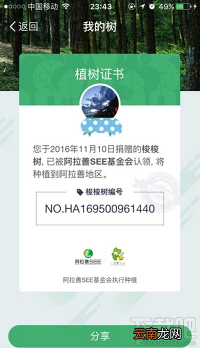 支付宝的蚂蚁森林有能量真的会种树吗