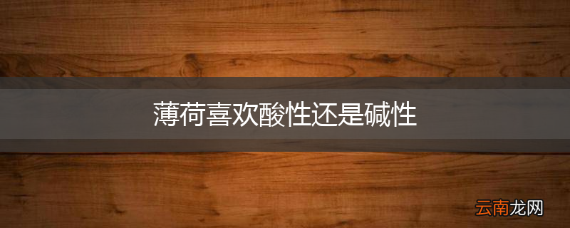 薄荷喜欢酸性还是碱性