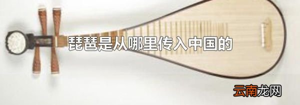 琵琶是从哪里传入中国的