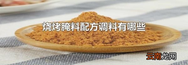 烧烤腌料配方调料有哪些